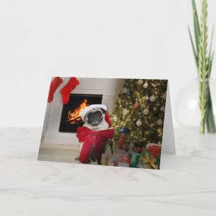 Cartes Pour Fêtes Annuelles Carlin Misha portant seulement un arc pour Noël