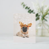 Cartes Pour Fêtes Annuelles Carlin XMas (Debout devant)