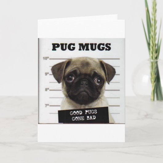 Cartes Pour Fêtes Annuelles Carlins (Devant)