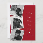 Cartes Pour Fêtes Annuelles Carlins et baisers Collage de photos Valentines (Devant)