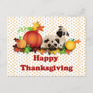 Cartes Pour Fêtes Annuelles Carlins et Citrouilles de Thanksgiving