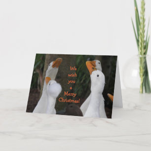 Cartes Pour Fêtes Annuelles Caroling White Ducks Drôle