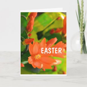 CARTES POUR FÊTES ANNUELLES **CARTE DE PÂQUES SPÉCIALE VOUS SOUHAITE***