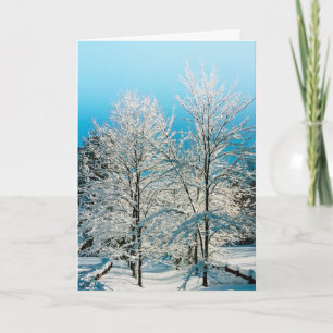 Cartes Pour Fêtes Annuelles ***Carte de vacances : Nature pleine de divinité.