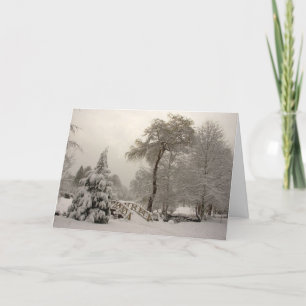 Cartes Pour Fêtes Annuelles Cartes Joyeuses Fêtes des Wonderland Cards