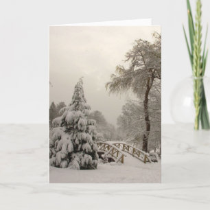 Cartes Pour Fêtes Annuelles Cartes Joyeuses Fêtes des Wonderland Cards