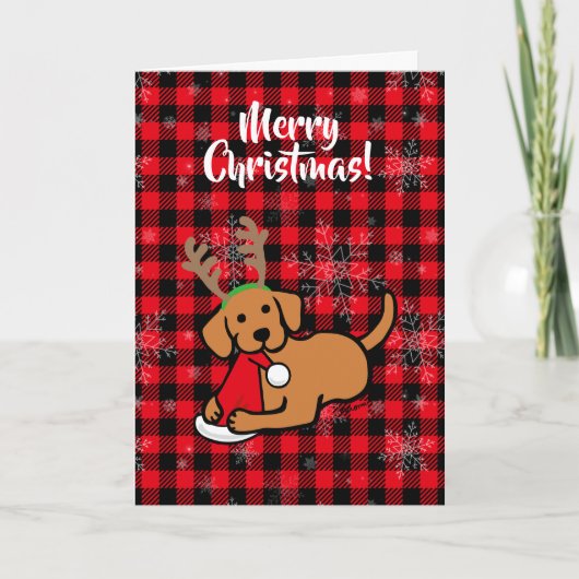 Cartes Pour Fêtes Annuelles Carton de Noël Fox Red Labrador et Père Noël (Devant)