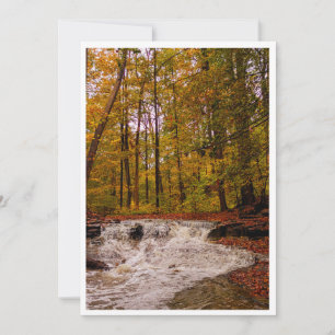 Cartes Pour Fêtes Annuelles Cascade d'automne