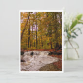 Cartes Pour Fêtes Annuelles Cascade d'automne (Debout devant)