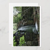 Cartes Pour Fêtes Annuelles Cascade de printemps cachée (Devant / Derrière)