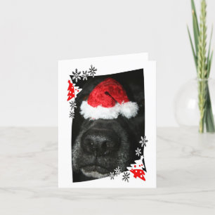 Cartes Pour Fêtes Annuelles Casquette de Noël de chien sur le nez, mélange de