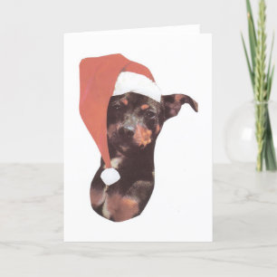 Cartes Pour Fêtes Annuelles Casquette de Père Noël de Pinscher miniature