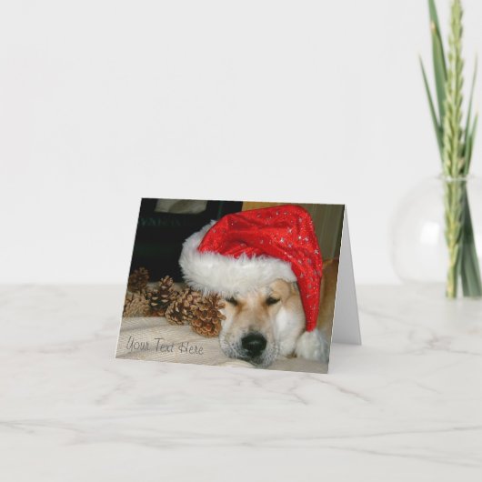 Cartes Pour Fêtes Annuelles Casquette rouge de père Noël de chien mignon (Devant)