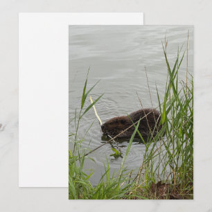 Cartes Pour Fêtes Annuelles Castor affairé
