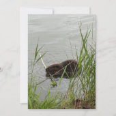 Cartes Pour Fêtes Annuelles Castor occupé (Devant)