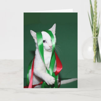 Cartes Pour Fêtes Annuelles Cat Christmas