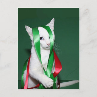 Cartes Pour Fêtes Annuelles Cat Christmas