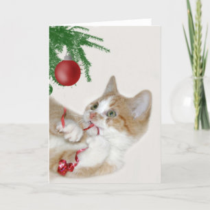 Cartes Pour Fêtes Annuelles Cat Christmas