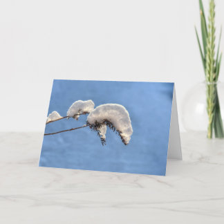 Cartes Pour Fêtes Annuelles Caterpiliers