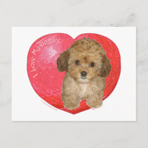 Cartes Pour Fêtes Annuelles Cavachon Saint-Valentin