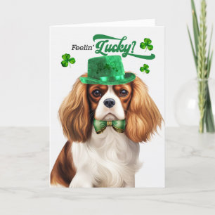 Cartes Pour Fêtes Annuelles Cavalier King Charles Chien Saint Patrick