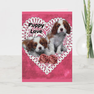 Cartes Pour Fêtes Annuelles Cavalier King Charles Spaniel Puppy Love