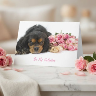 Cartes Pour Fêtes Annuelles Cavalier King Charles Spaniel Saint-Valentin Amate