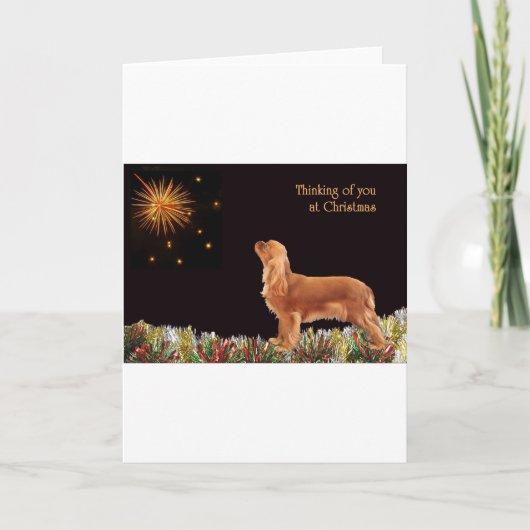 Cartes Pour Fêtes Annuelles Cavalier rouge de Noël (Devant)