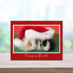 Cartes Pour Fêtes Annuelles Cavy Christmas Guinea Pig Post Card<br><div class="desc">Christmas is a time to send a lovely greeting to all your guinea pig friends.  This great postcard will put some cheer in their holiday.  Copyright Cool Cavy Guinea Pig Shop</div>
