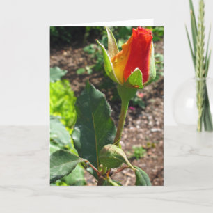 Cartes Pour Fêtes Annuelles Ce bourgeon pour vous