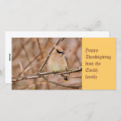 Cartes Pour Fêtes Annuelles Cèdre ciré en automne (Devant / Derrière)