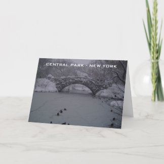 Cartes Pour Fêtes Annuelles CENTRAL Park - New York