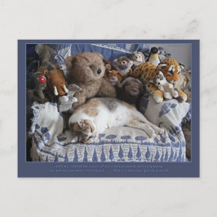 Cartes Pour Fêtes Annuelles "Cercle de compassion" Miriam Kilmer risingdove