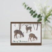 Cartes Pour Fêtes Annuelles Cerf blanc dans Snowy Woods - Joyeux Noël (Debout devant)