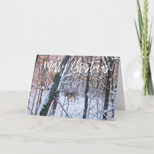 Cartes Pour Fêtes Annuelles Cerf de Noël (Devant)