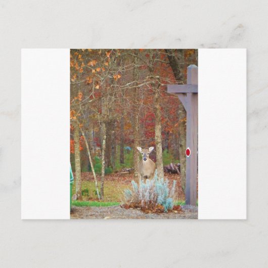 Cartes Pour Fêtes Annuelles Cerf de Noël (Devant)