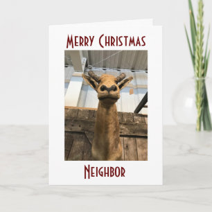 CARTES POUR FÊTES ANNUELLES C'EST LA **NOËL MOOSE** QUI DIT JEUX VACANCES