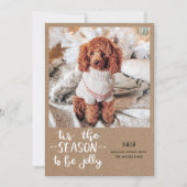 Cartes Pour Fêtes Annuelles C'Est La Saison D'Être Jolly Script Photo Holiday (Devant)