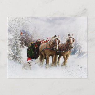 Cartes Pour Fêtes Annuelles C'est Noël