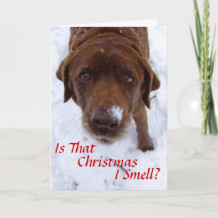 Cartes Pour Fêtes Annuelles C'est Noël que je sens ?