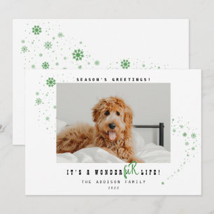 Cartes Pour Fêtes Annuelles C'est une vie merveilleuse Photo de Noël de vacanc