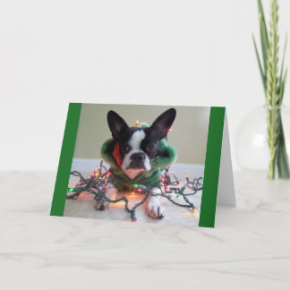 Cartes Pour Fêtes Annuelles Cette substance d'ELF est TRAVAIL !