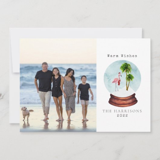 Cartes Pour Fêtes Annuelles Chaleureux souhaits Flamant rose Neige Globe Photo (Devant)