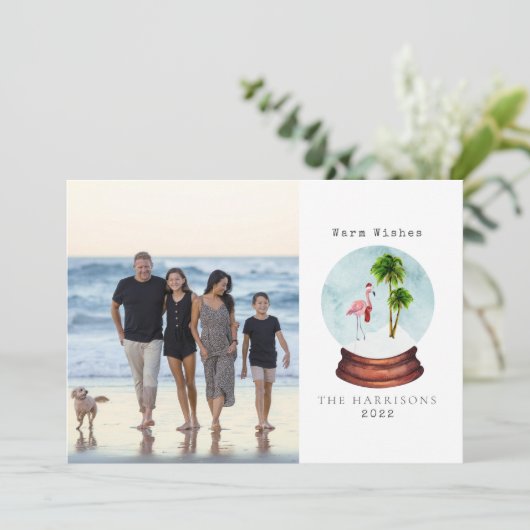 Cartes Pour Fêtes Annuelles Chaleureux souhaits Flamant rose Neige Globe Photo (Debout devant)