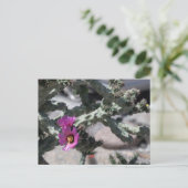 Cartes Pour Fêtes Annuelles Challa Cactus en fleurs (Debout devant)