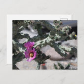 Cartes Pour Fêtes Annuelles Challa Cactus en fleurs (Devant / Derrière)