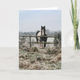 Cartes Pour Fêtes Annuelles Champ gelé