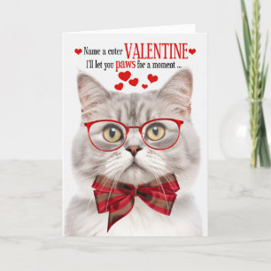 Cartes Pour Fêtes Annuelles Champagne Tabby Chat Lover Valentine Humour Feline