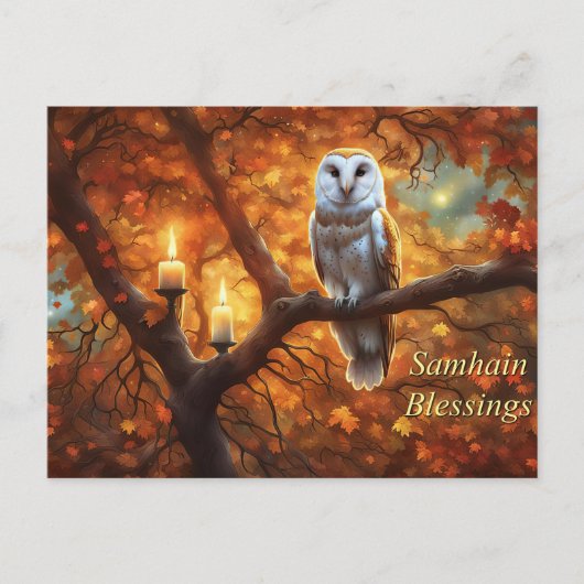 Cartes Pour Fêtes Annuelles Chandelles de Samhain Owl (Devant)
