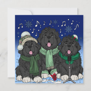Cartes Pour Fêtes Annuelles Chanteurs de cantiques de Noël chiots Terre-Neuve